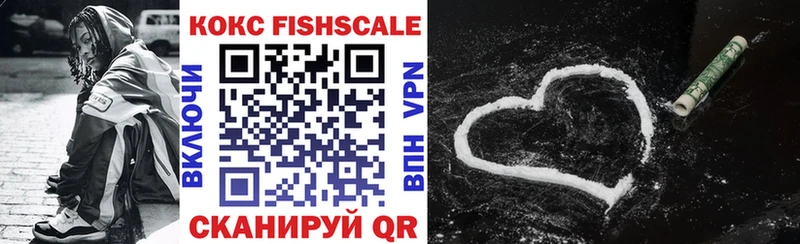 где купить   Чердынь  Кокаин Fish Scale 