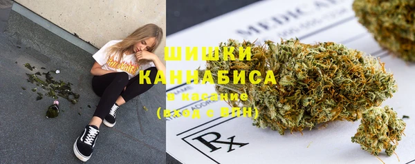 индика Аркадак