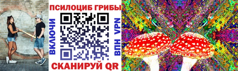 Псилоцибиновые грибы мухоморы  сайты даркнета наркотические препараты  Чердынь 